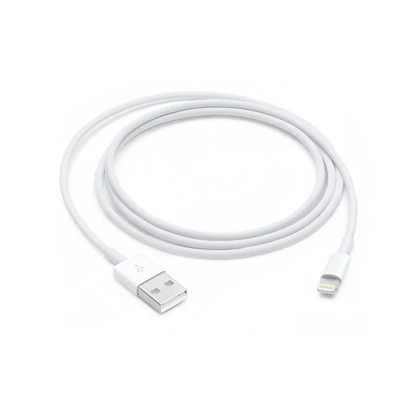 Apple Lightning to USB Cable - Image 2